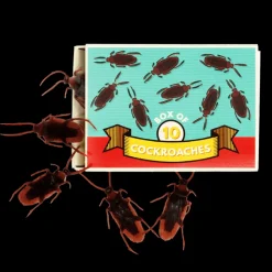 Rex London Box of 10 cockroaches - Classic Jokes Discount