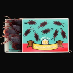Rex London Box of 10 cockroaches - Classic Jokes Discount