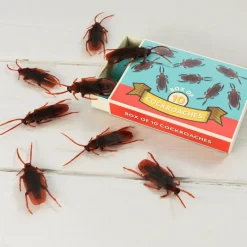 Rex London Box of 10 cockroaches - Classic Jokes Discount