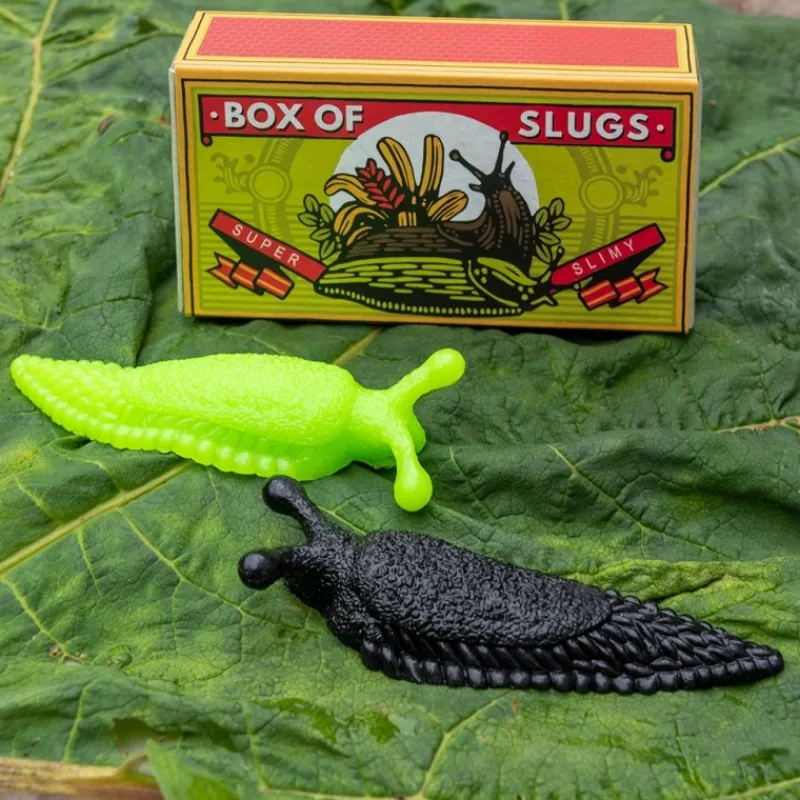 Rex London Box of two slimy slugs Outlet