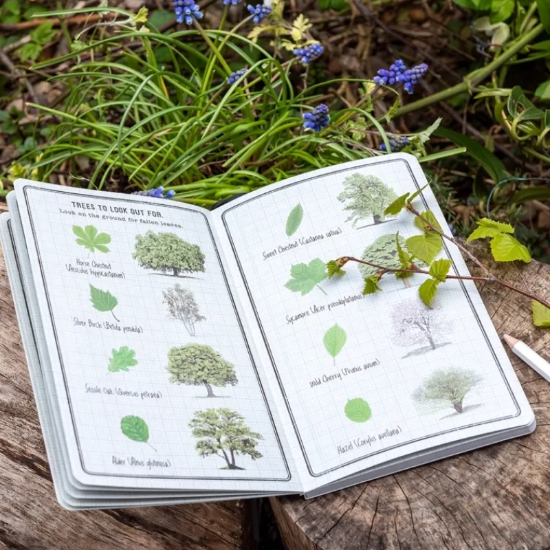 Rex London Children's Journal - Nature Trail Discount
