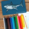 Rex London 36 colouring pencils in a tin - Sharks Best