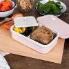 Rex London Double wall lunch box with divider - Pink Outlet