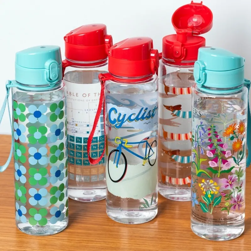 Rex London Drinks bottle with push button lid 700ml - Blue and green Daisy Sale