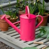 Rex London Galvanised steel watering can 4.5L - Red Clearance