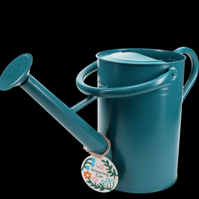 Rex London Galvanised steel watering can 4.5L - Blue Outlet
