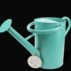 Rex London Galvanised steel watering can 4.5L - Aqua Outlet