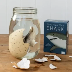 Rex London Giant hatching shark egg - Sharks Clearance