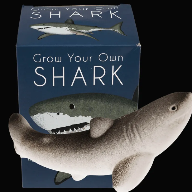 Rex London Giant hatching shark egg - Sharks Clearance