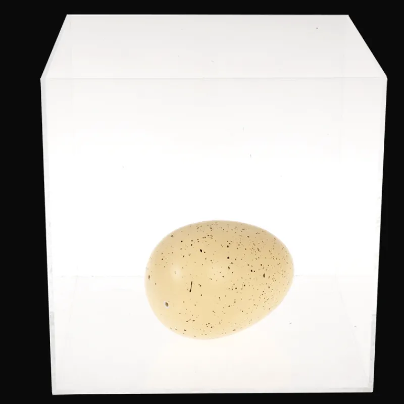 Rex London Giant hatching shark egg - Sharks Clearance