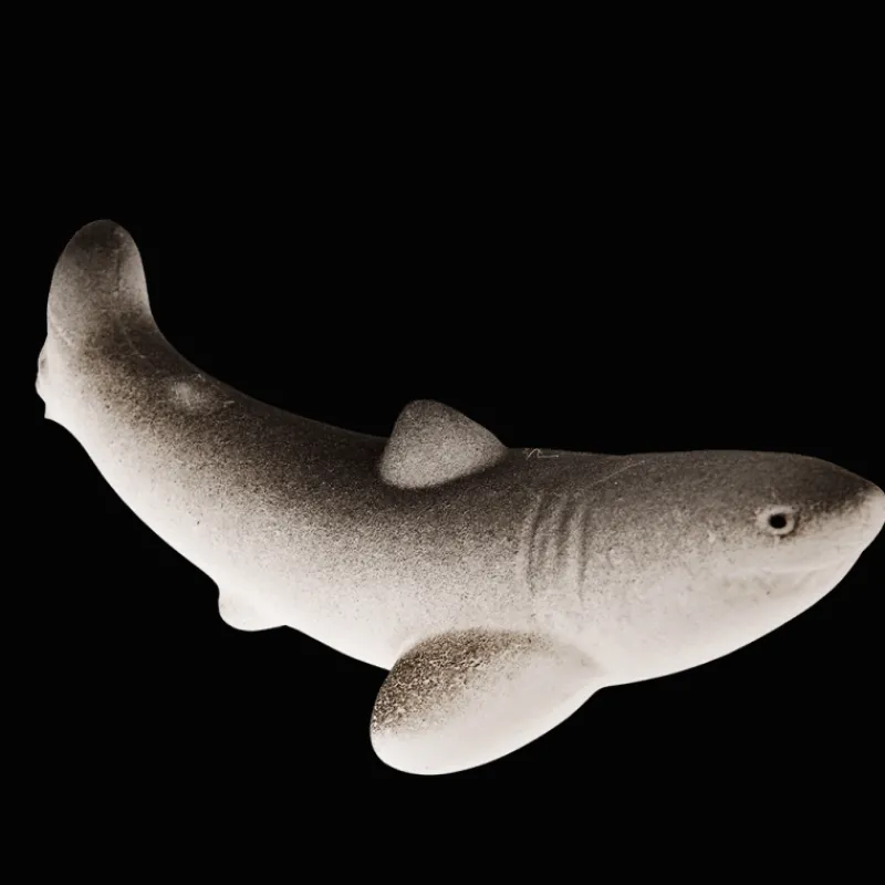 Rex London Giant hatching shark egg - Sharks Clearance