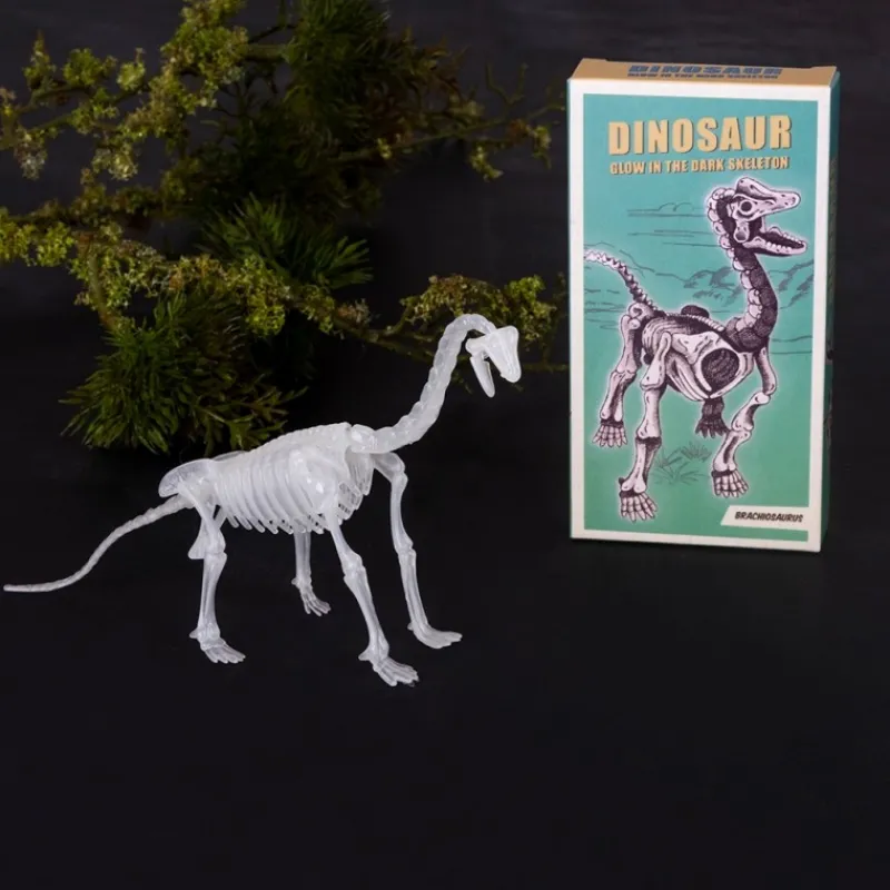 Rex London Glow-in-the-dark dinosaur skeleton kit (assorted - SINGLE) Discount