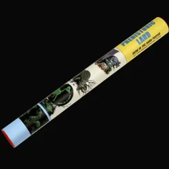 Rex London Glow in the dark poster - Prehistoric Land Discount