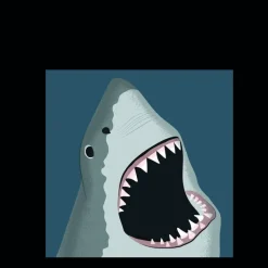 Rex London Greetings card - Shark Fashion