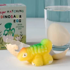 Rex London Hatch your own dinosaur egg Best