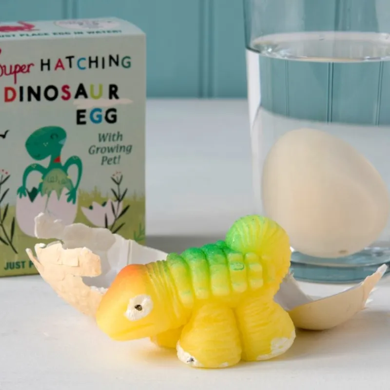 Rex London Hatch your own dinosaur egg Best
