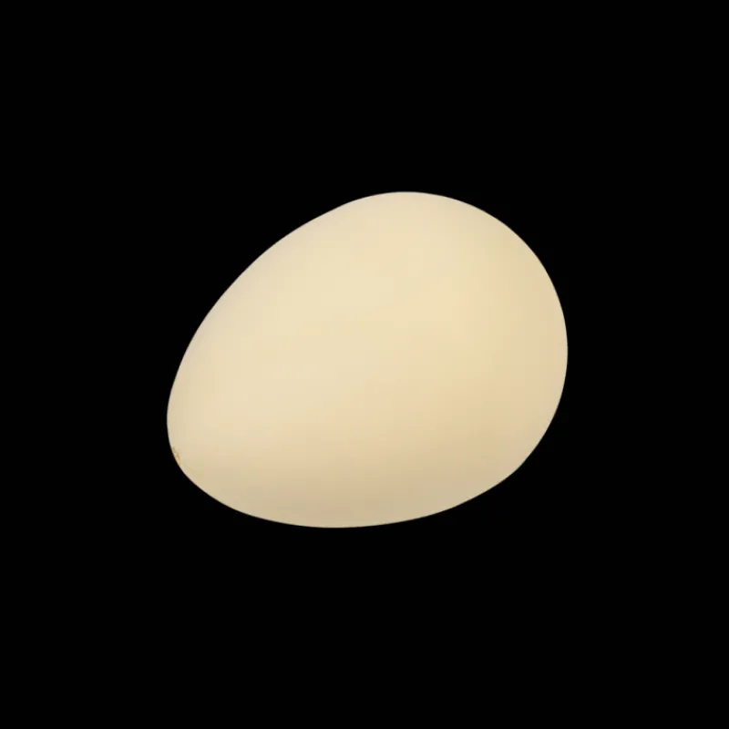 Rex London Hatch your own dinosaur egg Best