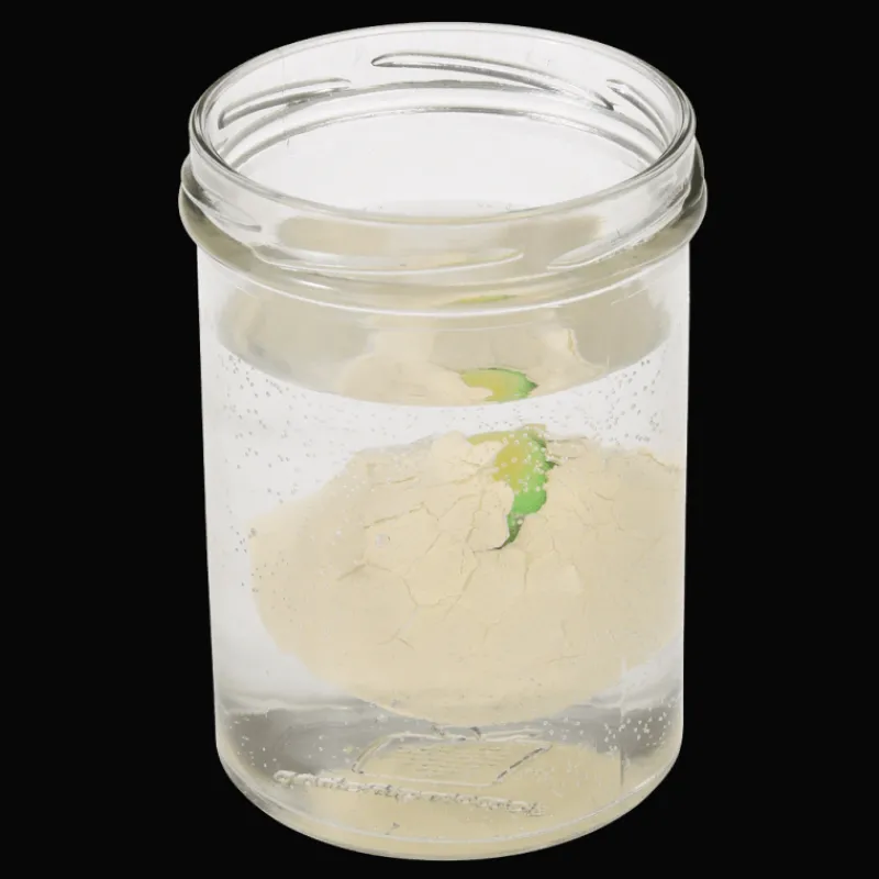 Rex London Hatch your own dinosaur egg Best
