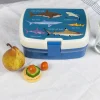 Rex London Lunch box with tray - Sharks Clearance