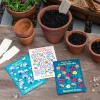 Rex London Pack of flower seeds (assorted - SINGLE) Fashion