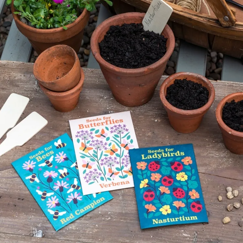 Rex London Pack of flower seeds (assorted - SINGLE) Fashion