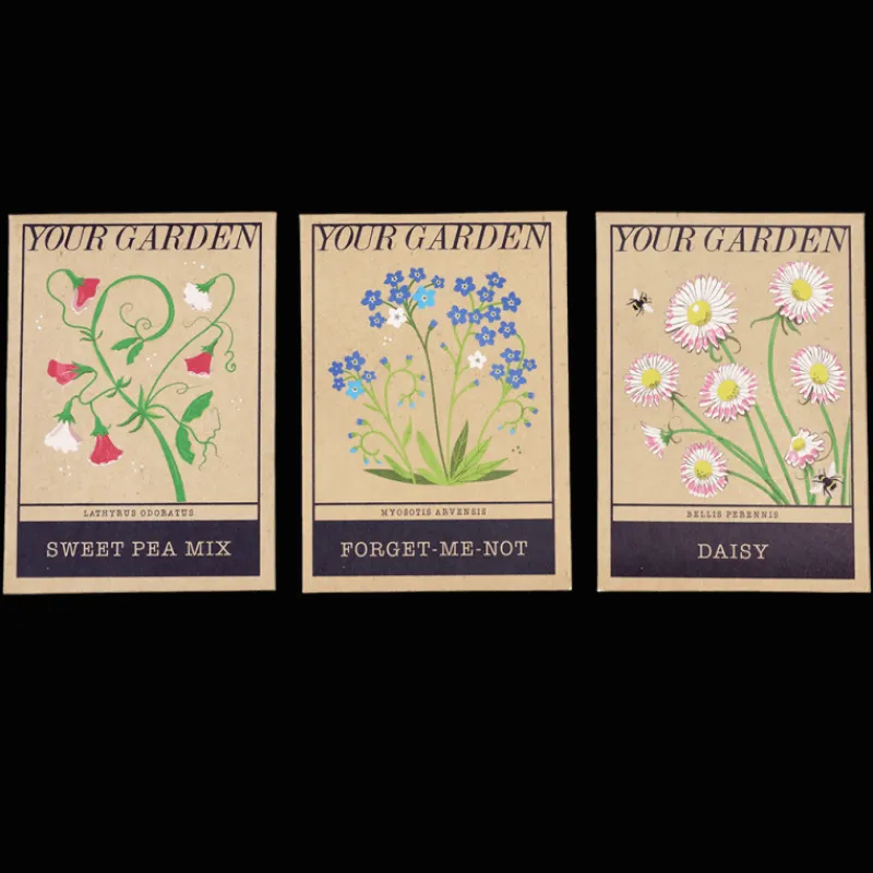 Rex London Pack of flower seeds - Your Garden (assorted - SINGLE) Hot