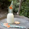 Rex London Paper straws (pack of 4) - Rusty the Fox Hot
