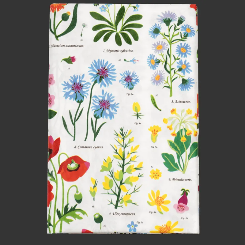 Rex London Paper tablecloth (180 x 120cm)- Wild Flowers Hot
