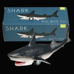 Rex London Pull back toy - Shark New