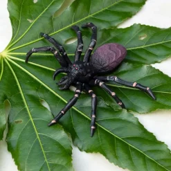 Rex London Realistic tarantula toy New