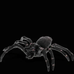 Rex London Realistic tarantula toy New