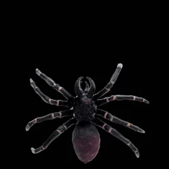 Rex London Realistic tarantula toy New