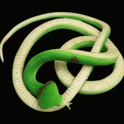 Rex London Rubber cobra toy Online
