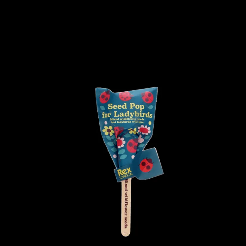 Rex London Seed pops - Wildflower seeds (assorted - SINGLE) Best