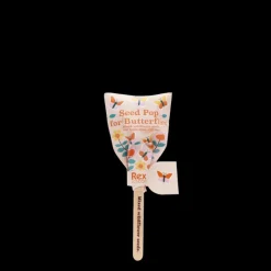 Rex London Seed pops - Wildflower seeds (assorted - SINGLE) Best