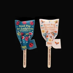 Rex London Seed pops - Wildflower seeds (assorted - SINGLE) Best