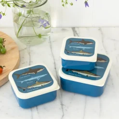 Rex London Snack boxes (set of 3) - Sharks Discount