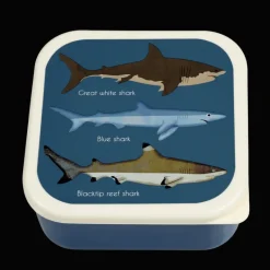Rex London Snack boxes (set of 3) - Sharks Discount