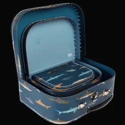 Rex London Storage cases (set of 3) - Sharks Fashion