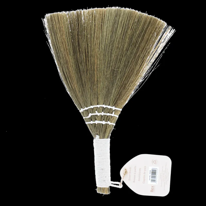Rex London Straw table brush Hot