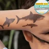 Rex London Temporary tattoos - Shark Outlet