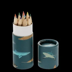 Rex London Tube of colouring pencils - Sharks Hot