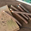 Rex London Twig colouring pencils (set of 6) New