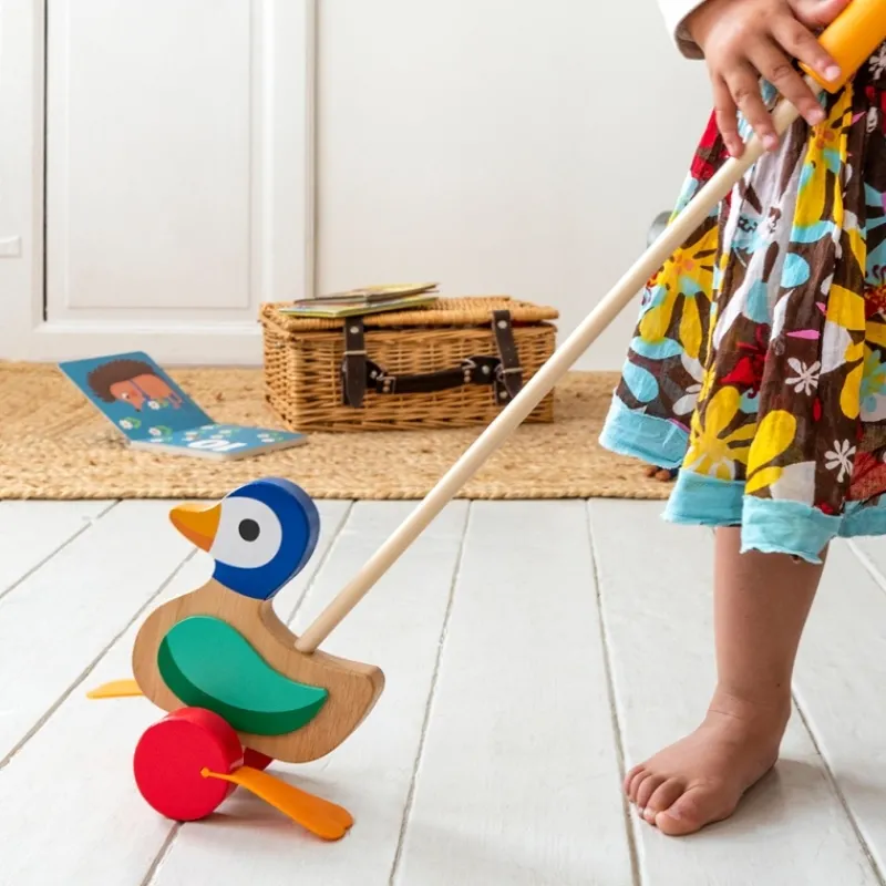 Rex London Wooden push along toy - Duck Best