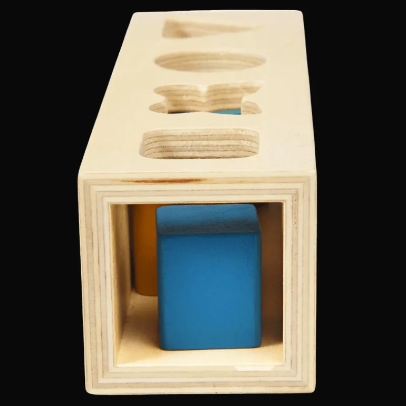 Rex London Wooden shape sorter - Wild Wonders Hot