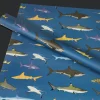 Rex London Wrapping paper (5 sheets) - Sharks Clearance