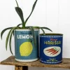 Rex London XL storage tins (set of 2) - Lemons and Harissa Sale