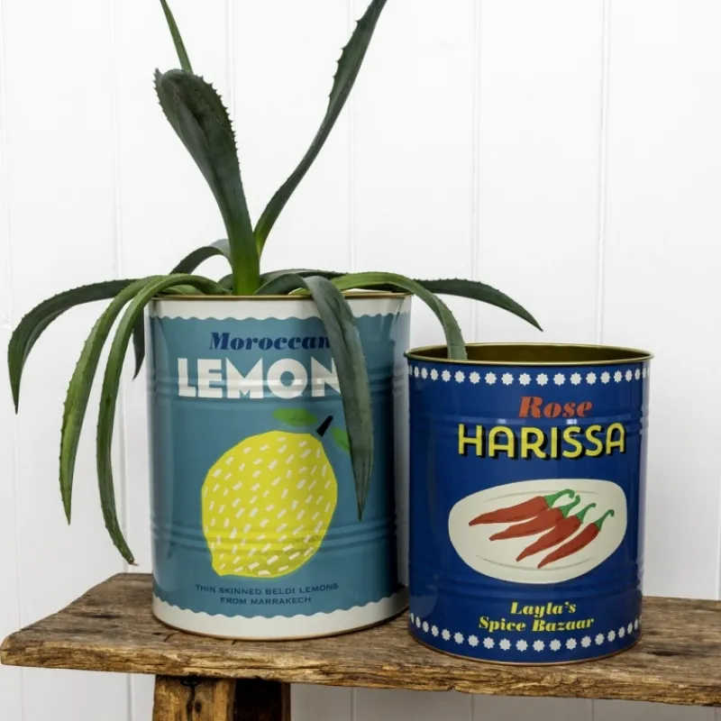 Rex London XL storage tins (set of 2) - Lemons and Harissa Sale